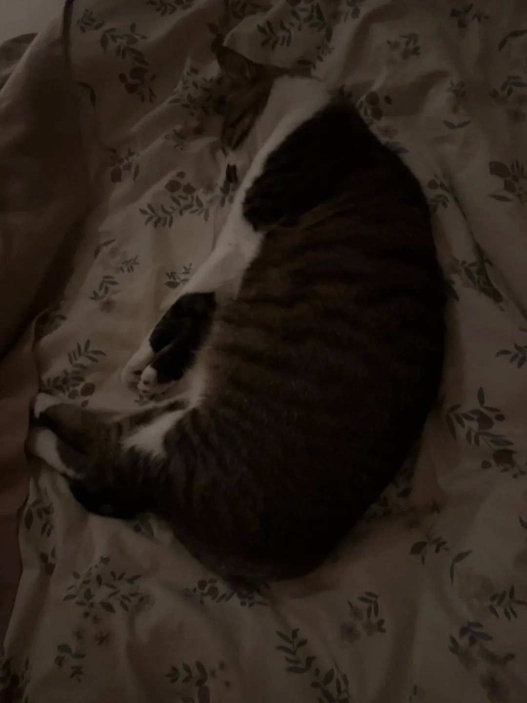 签到咯早点睡觉，明天又要上班了           