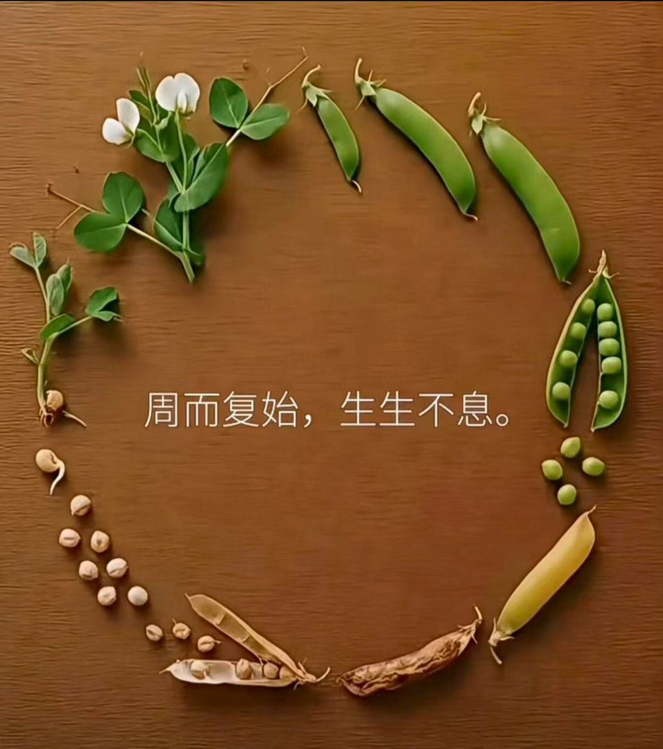我们从“自然法则”里学到了什么？ ​​​