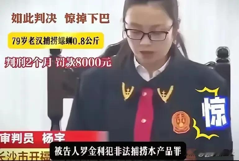 老汉因为捕了0.8公斤螺蛳，被判刑2个月，罚款8000元。这对于农民来说，简直是