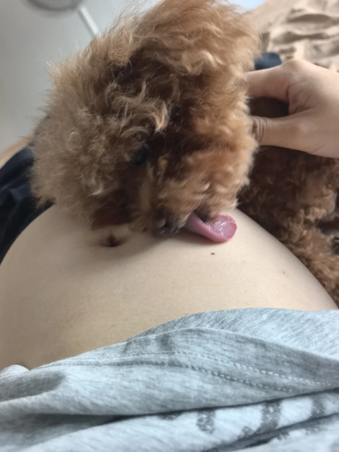 孕期你们都小狗都在干嘛🤓