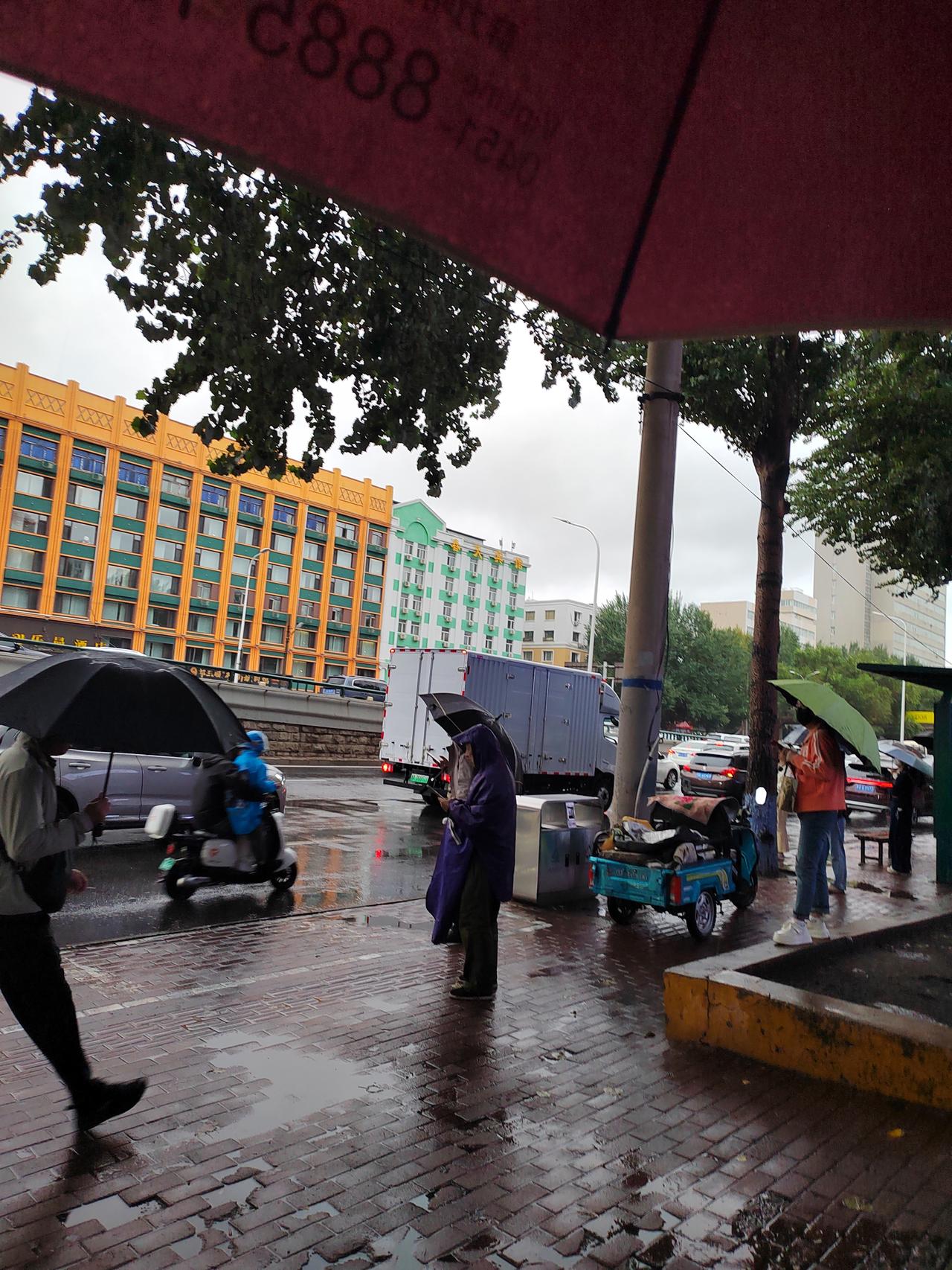 咋回事，哈尔滨下雨就非常堵，下雨还是晴天，开车不都是正常开么？咋会出现和平时不一