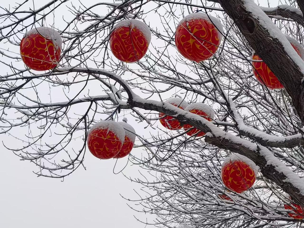 2. 琼枝缀红妆，瑞雪兆丰年，这一抹艳红，暖了整个寒冬。
3. 雪落灯笼俏，岁寒