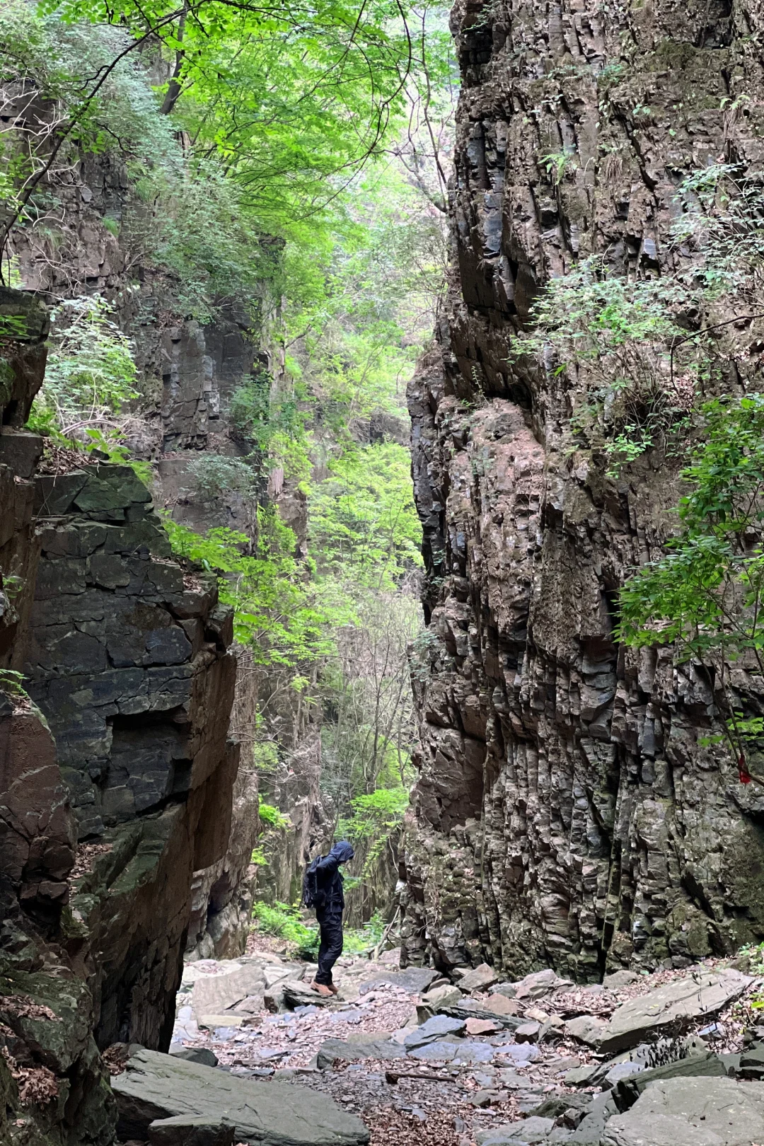 天津峡谷秘境，穿越山林，峡谷奇观清凉避暑
