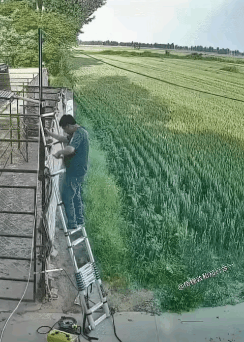 麦田快要到了成熟的季节，必须要加强防火，如果不慎着起一把大火儿，就可能让一个家庭