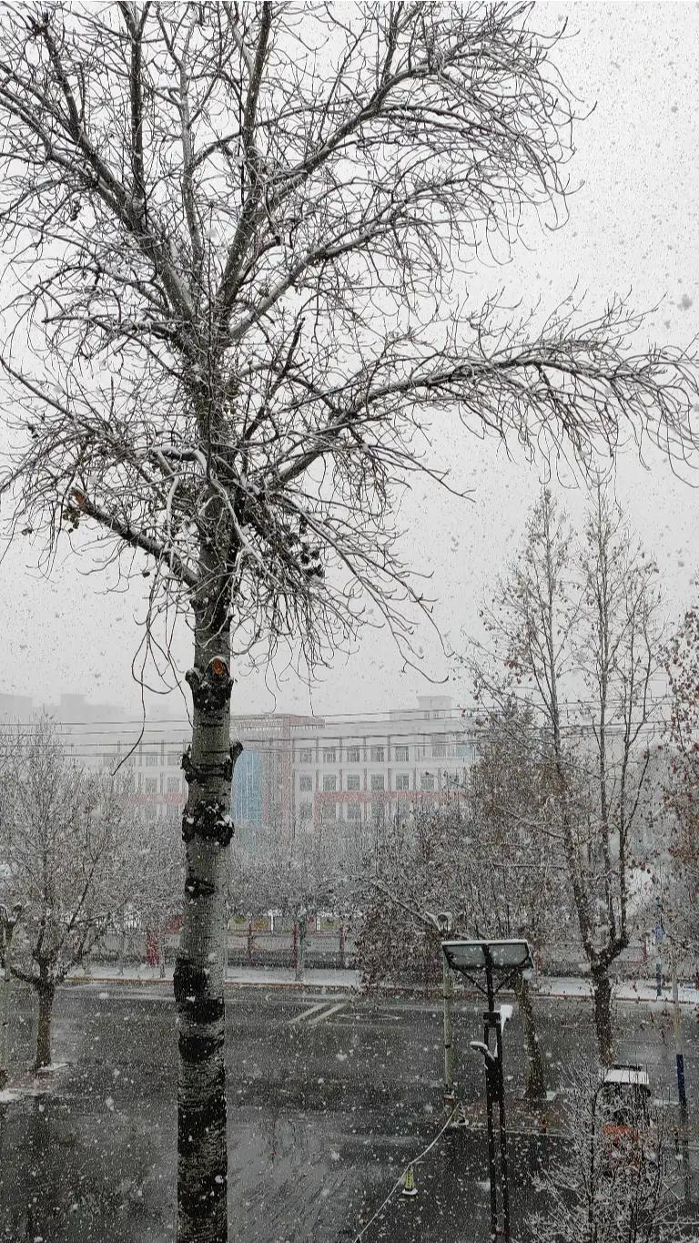 隐在市朝，犹如冬饮冰，其中冷暖唯有自己知晓，又何必自曝于风雪之中呢？