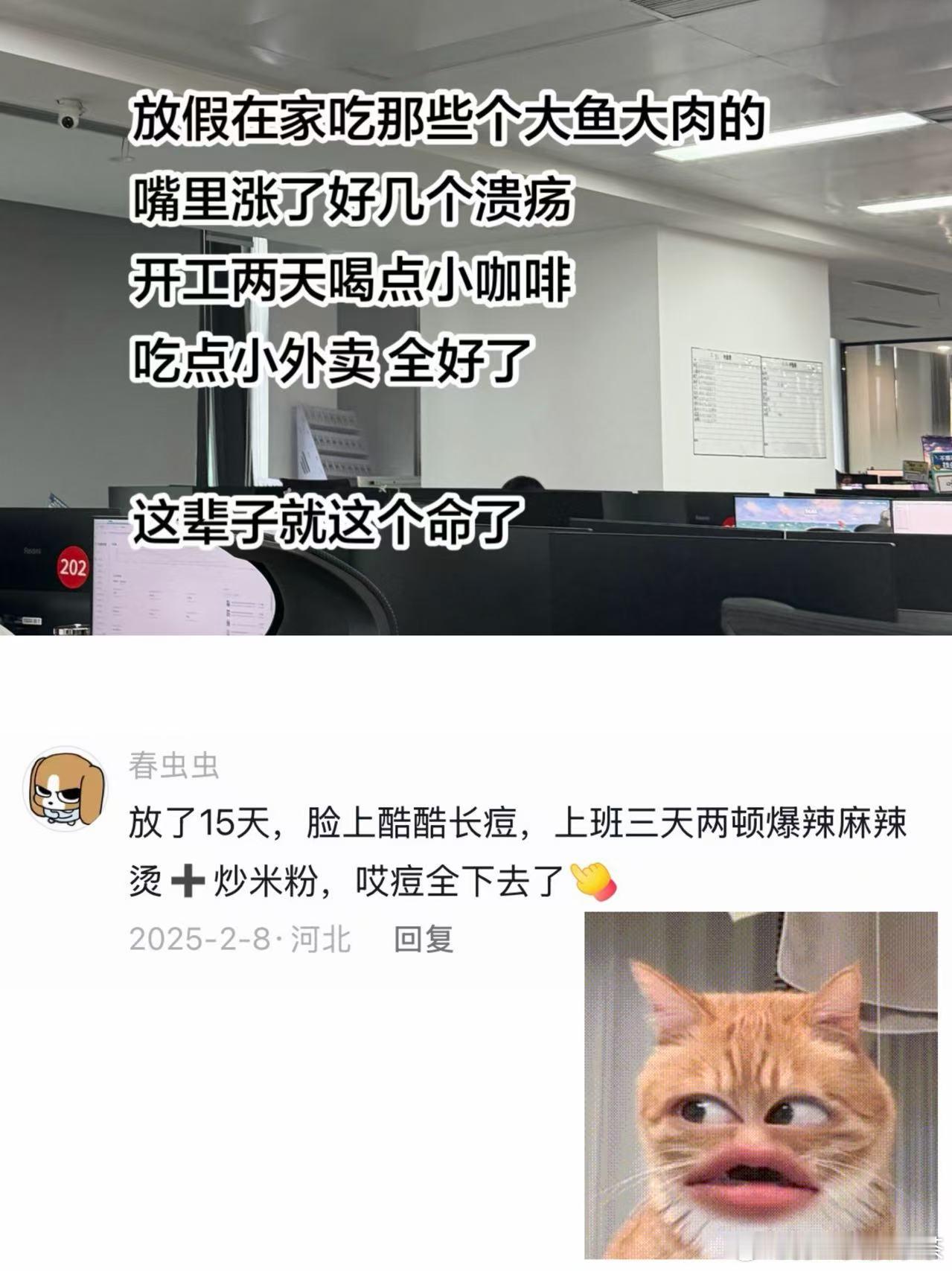 说实话我上班纯属为了作息规律热搜多元内容创作计划