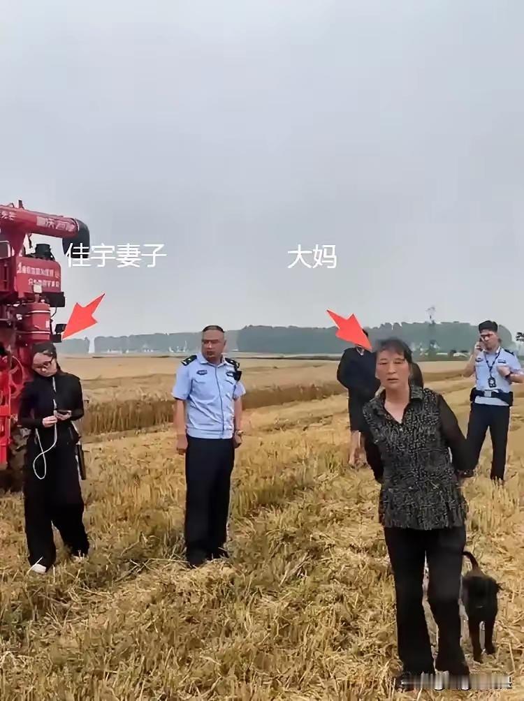最近襄阳麦收的“割四赔五”事件，真的越看越气，越想越寒心！
 ​​事情很简单：河