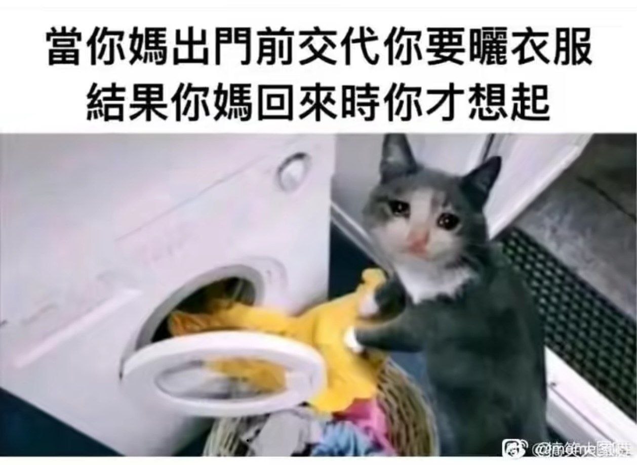 完蛋了臭哄哄了 