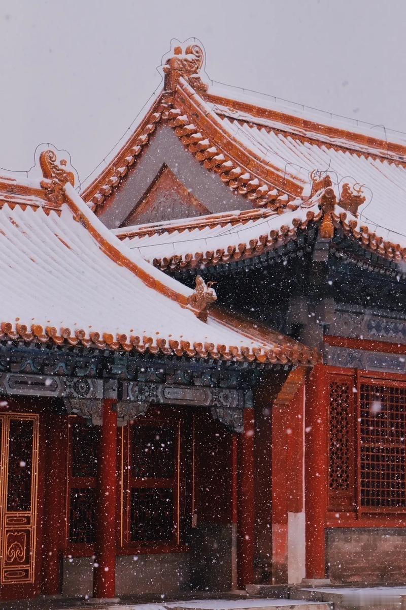 北京下雪 哇塞！北京被雪温柔“拥抱”啦！纷纷扬扬的雪花，像灵动的精灵在空中翩翩起