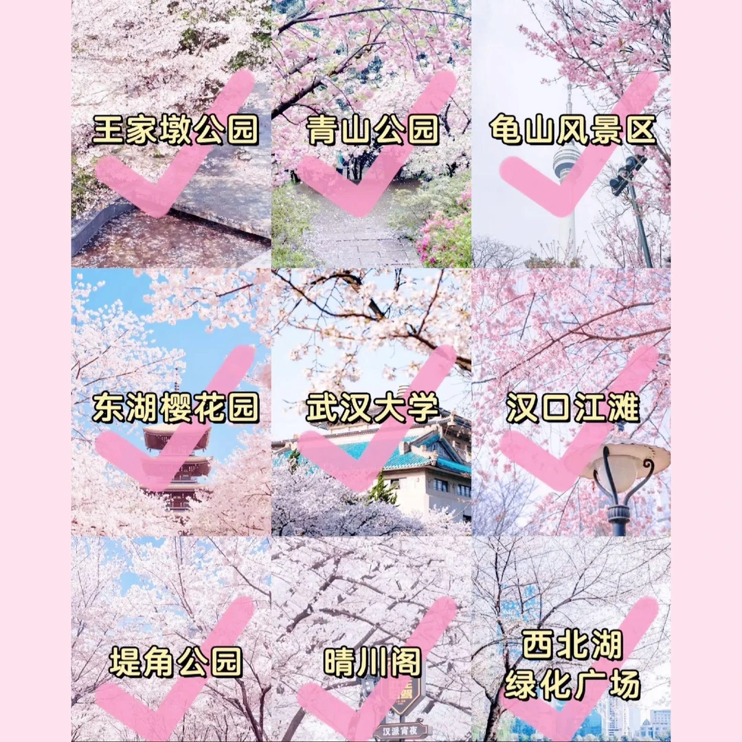 "熬夜爆肝！2026武汉赏樱全攻略✨