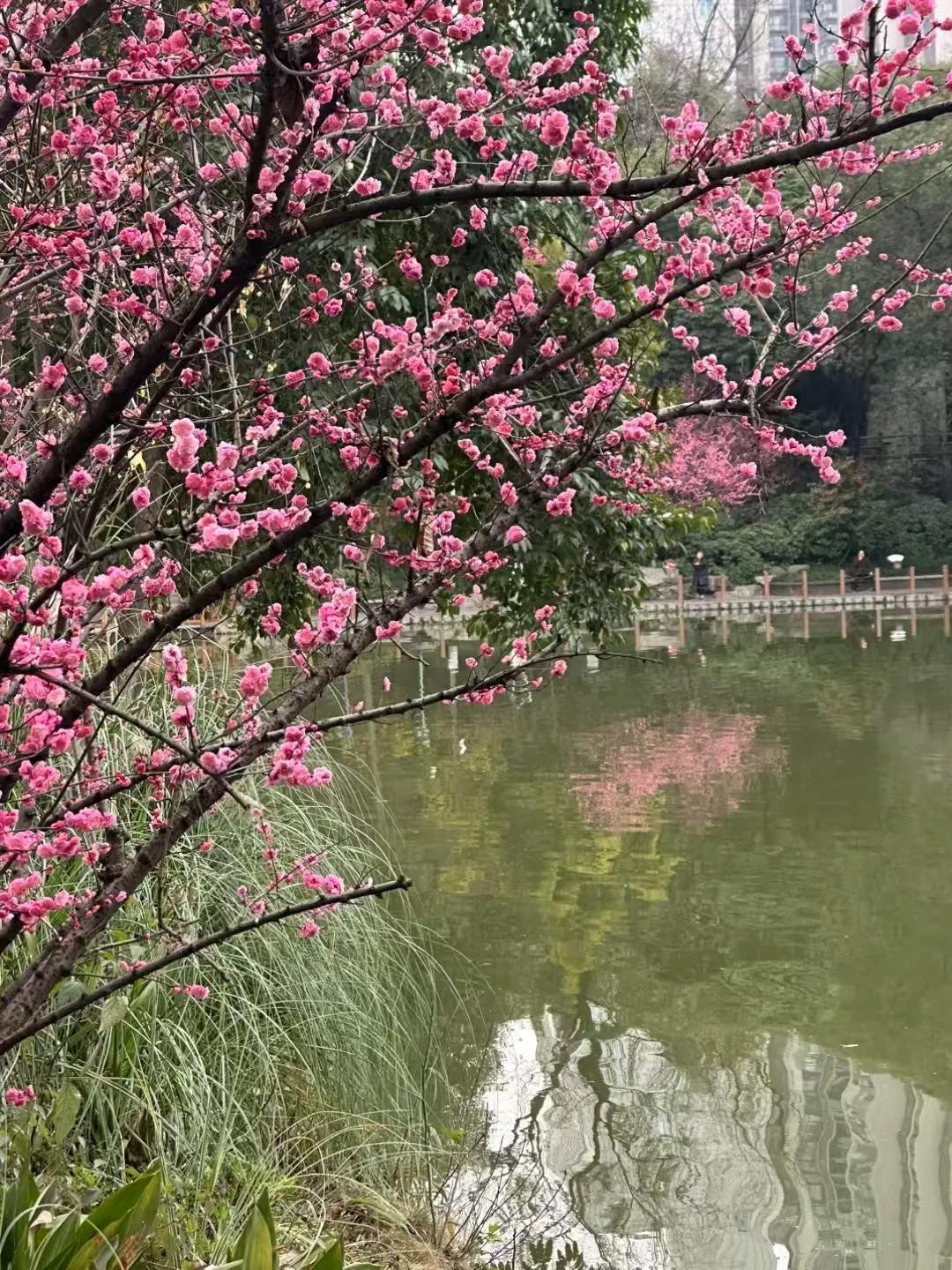 李晓独自坐在昏暗的客厅里，手中紧握着一杯已经凉透的茶。今天，她刚刚经历了一场前所