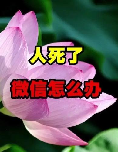人死了，微信怎么办？——特别提醒别忘了处理财产

人去世后，微信号可以保留，也可