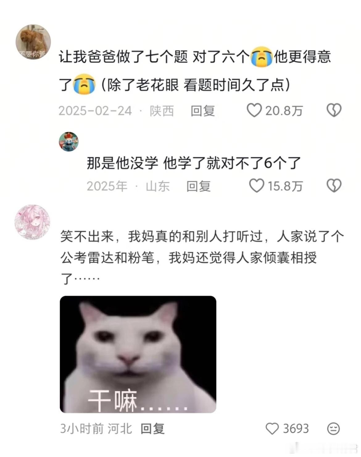 《父母以为的考公考编》 