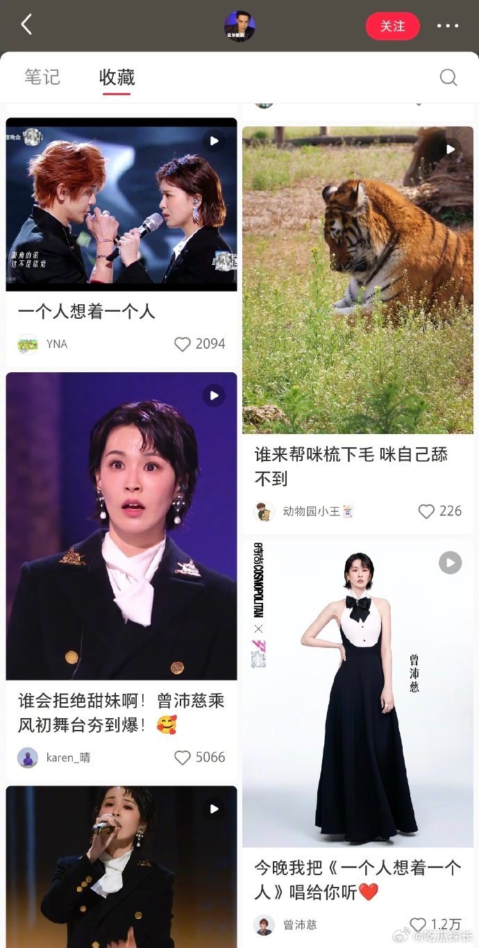 汪东城收藏夹里曾沛慈含量过高 汪东城收藏曾沛慈浪姐初舞台，真的有在认真看的哈哈哈