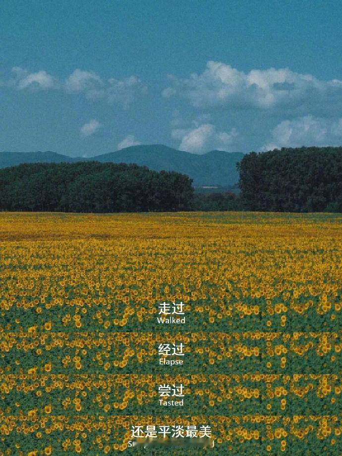 “做无名小花，做干干万万” 