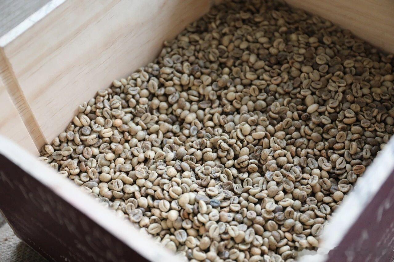 ·8000+！广州咖啡店数量全国第二华南第一广州，开出8000多家咖啡门店，数量