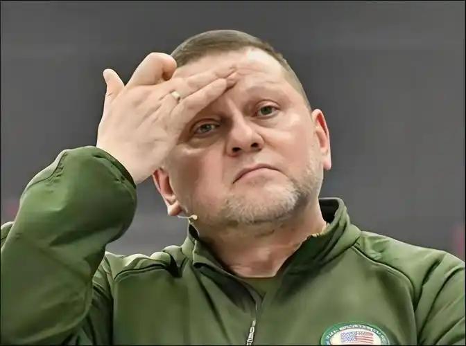 扎卢日内这一刀，捅得比俄军还狠。

乌克兰举国欢庆"炸瘫俄罗斯"的时候，这位被泽