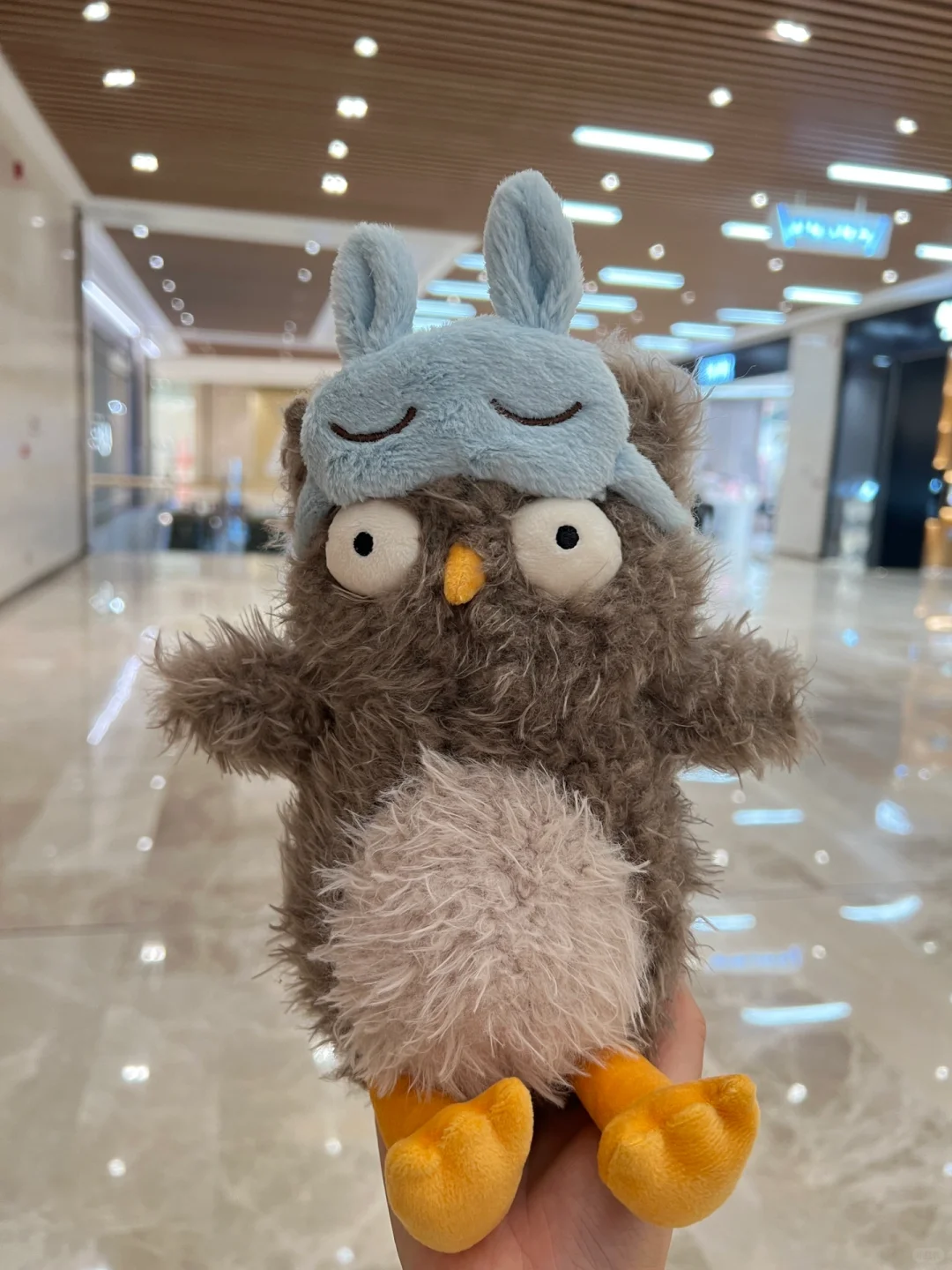 jellycat 猫头鹰