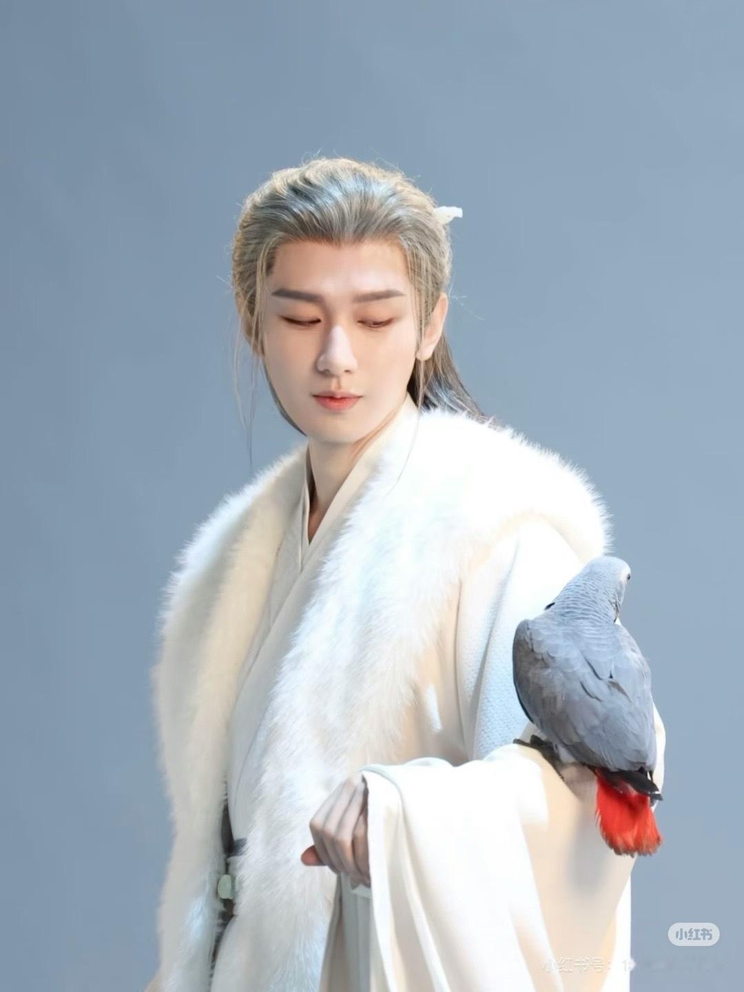 成毅成毅长安二十四计cy成毅                          