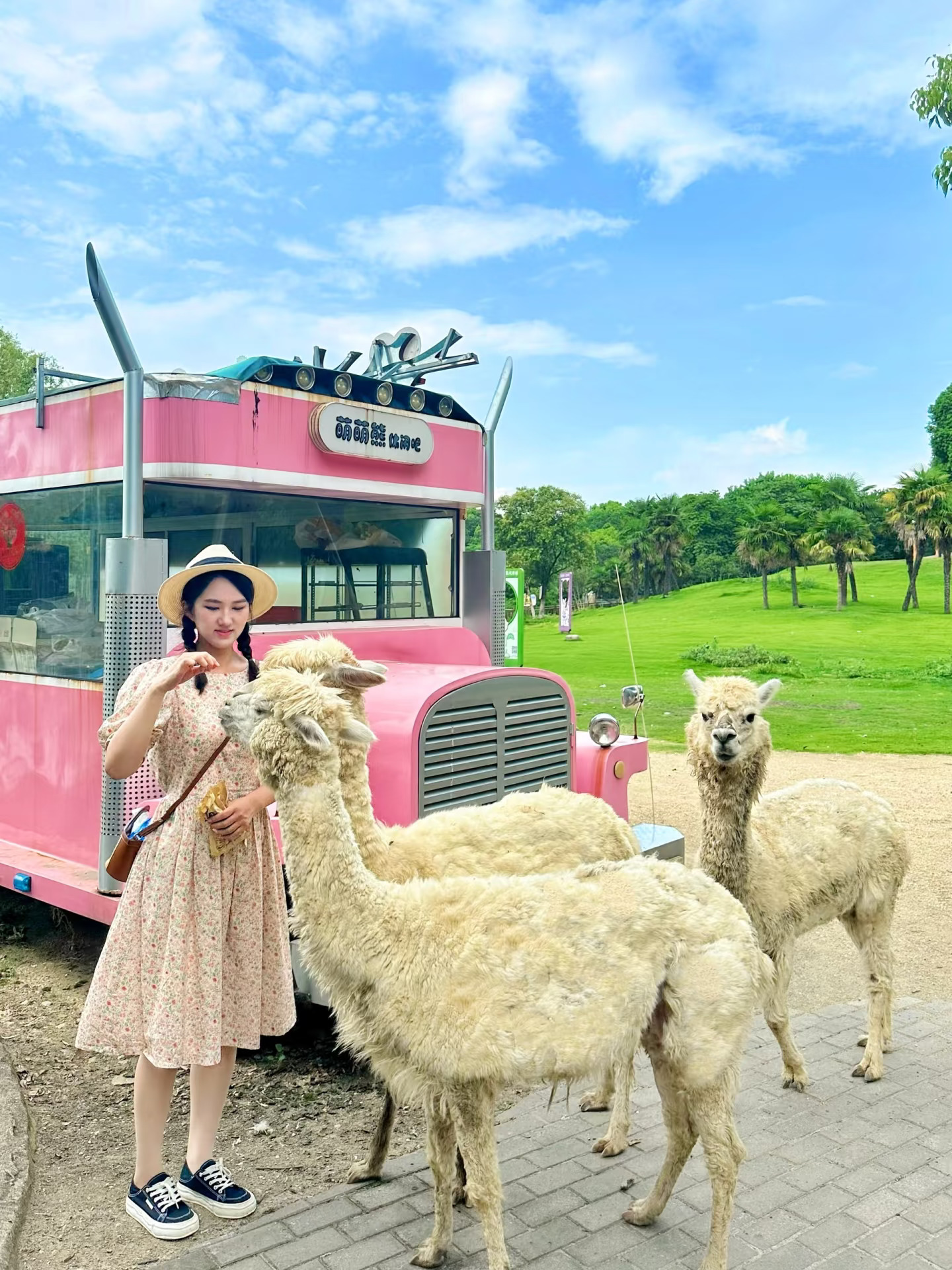 江浙沪亲子游🐰我找到了童话里的动物园❗