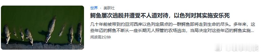 以色列不讲人权讲物权：“农场里的尼罗河鳄鱼被饲养在一处废弃的院落中，环境恶劣，构