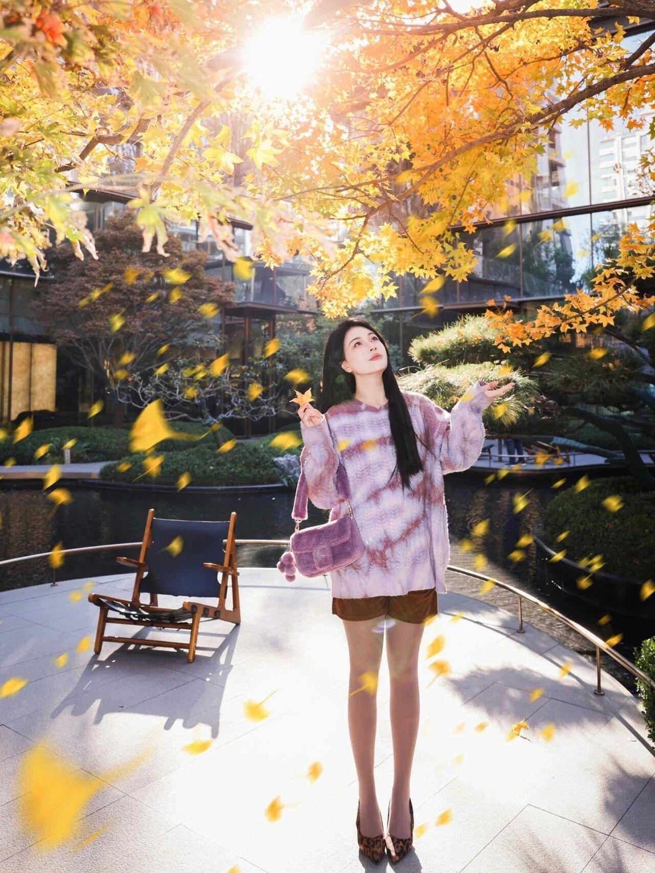 金黄的落叶在脚下沙沙作响，秋风裹挟着暖阳的温度掠过发梢。我站在铺满银杏叶的小径上