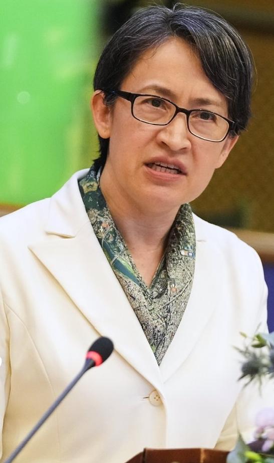 新加坡联合早报今天（11月9日）报道：“台湾地区副领导人萧美琴星期日（11月9日