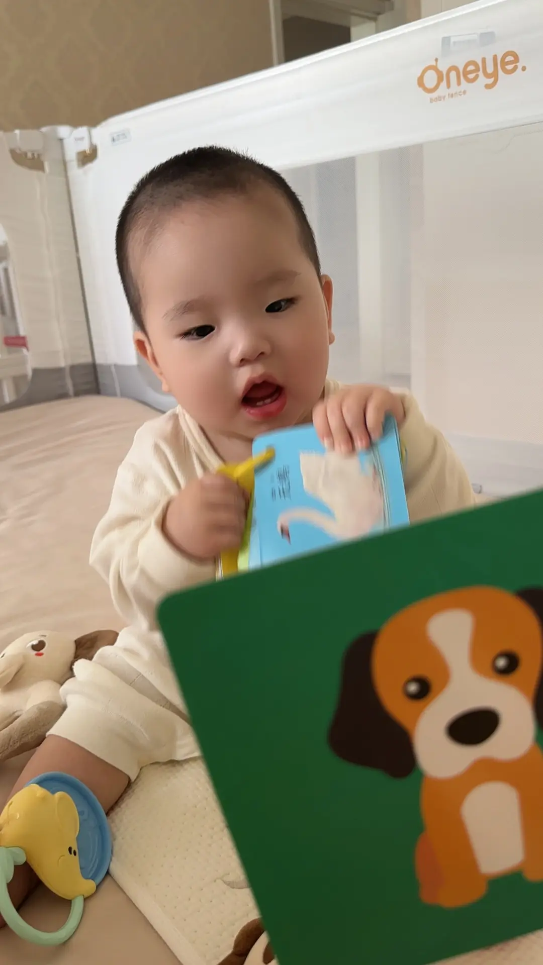 育儿碎片🧩。又开始新一轮的育儿妈妈，不仅是称呼，更是一生的使命和甜蜜...