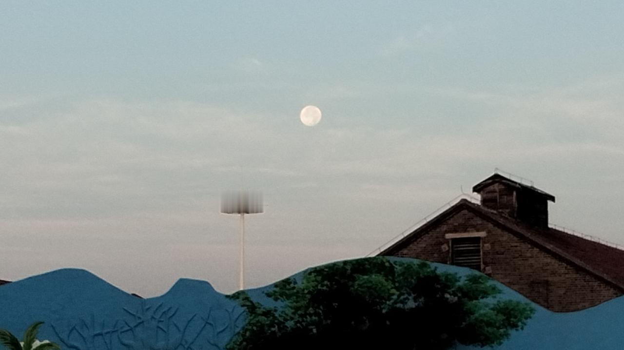 分享一下你随手拍下的照片同一时半会，月亮亮不过太阳。