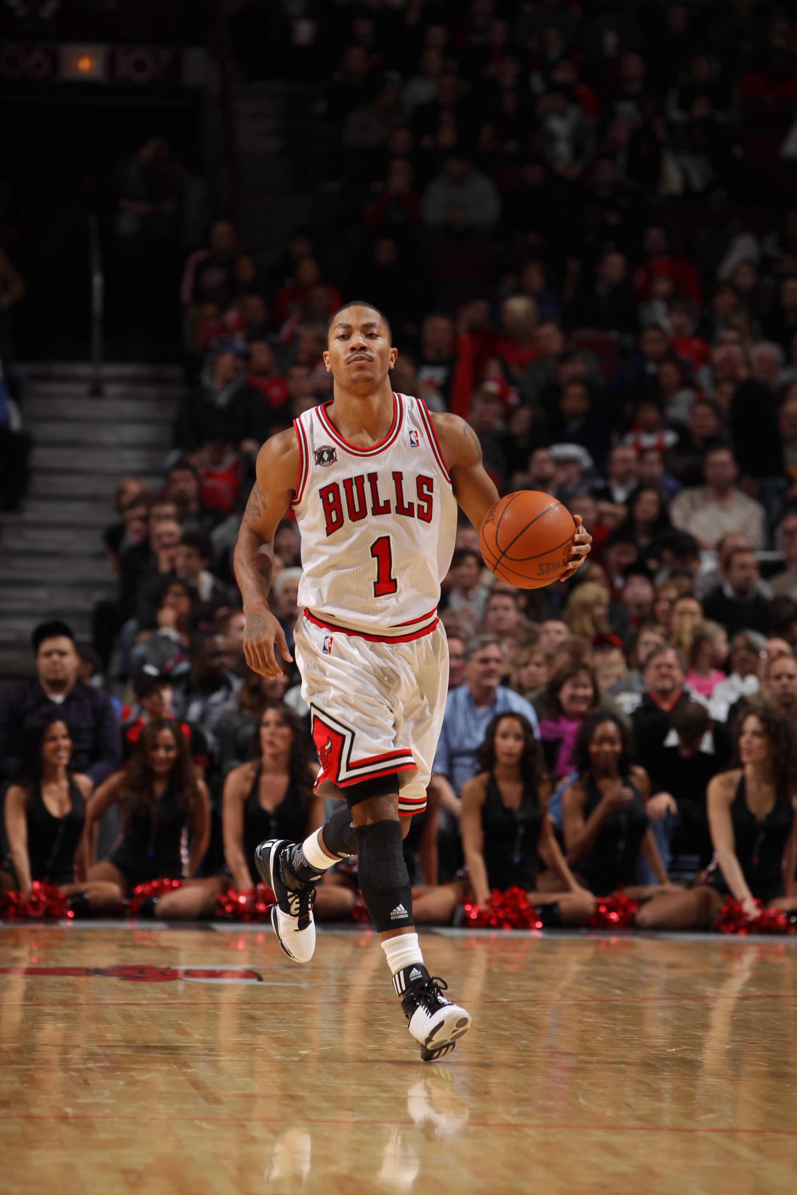 NBA Derrick Rose 