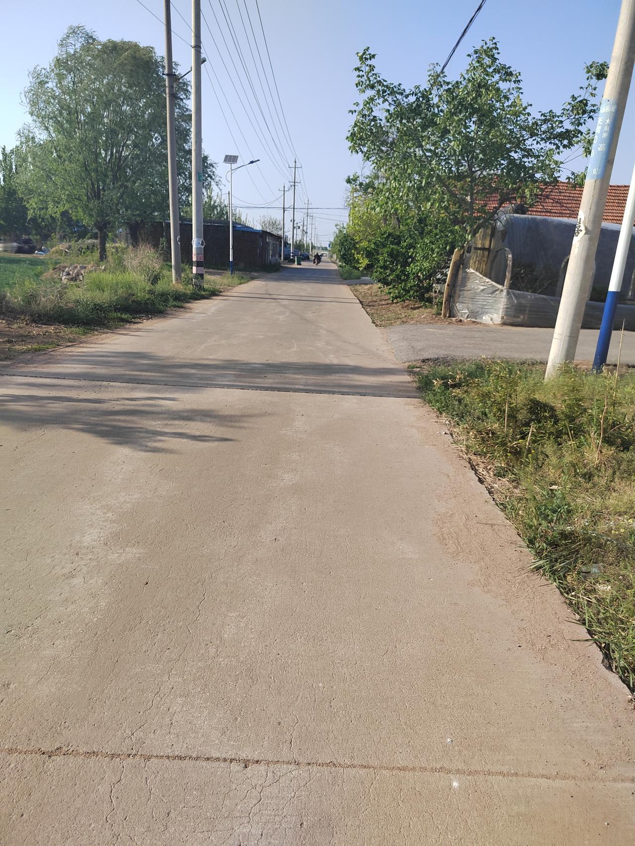 再看看现在的乡间小路，笔直平整的水泥路四通八达，干干净净、整整齐齐。路边绿树成荫