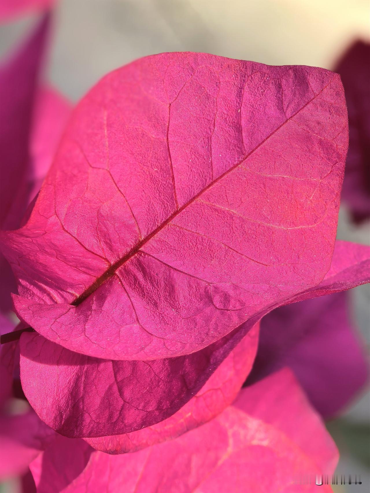 文旅新质生产力的四大核心特征，这些特征共同驱动文旅产业的高质量发展。以下是详细解