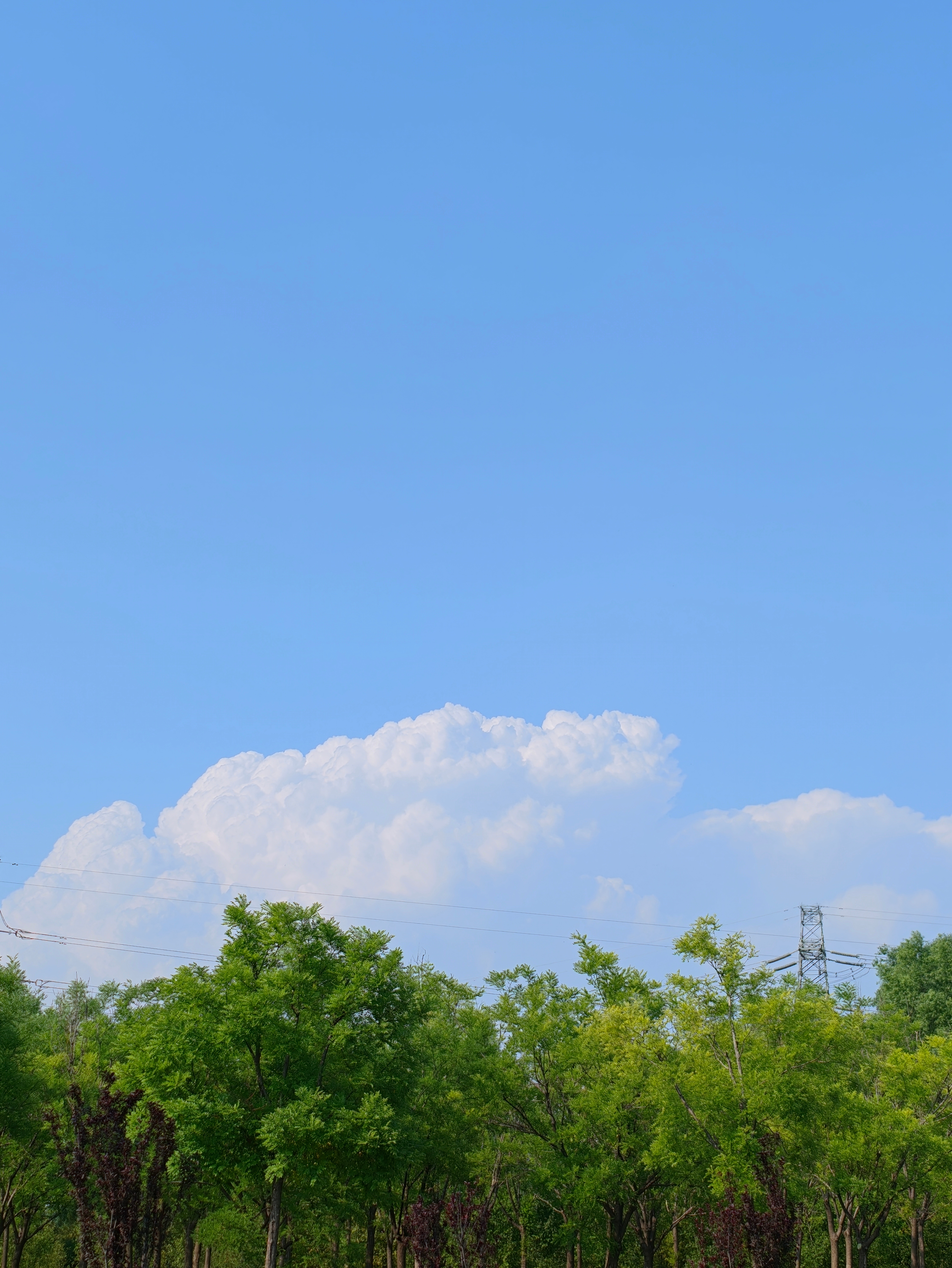 北京天空出现巨型棉花糖北京今夏的漂亮云朵真多晚安 大家 