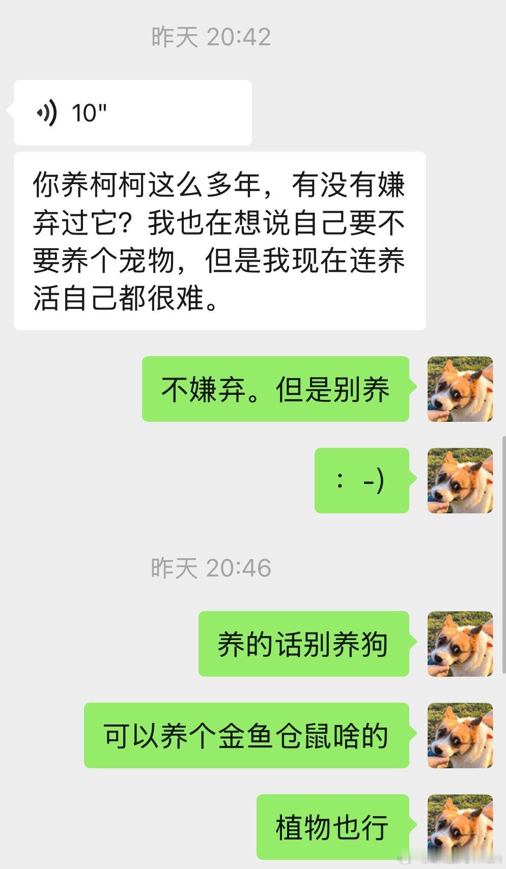 朋友想养狗，我劝退。前两天邻居想养第二条狗，我也劝退。没劝住。邻居还是想养。我说