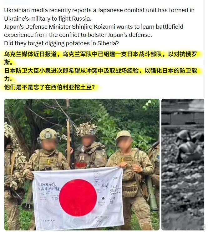 网友：他们是不是忘了在西伯利亚挖土豆？刚刚查了一下，8 月中旬乌克兰多家媒体报道
