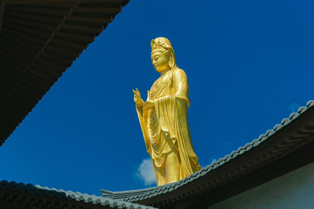 一花一天一菩提一叶一佛一沙一极乐一石一净土一笑一尘一念一清净。#寺庙 #见者好运