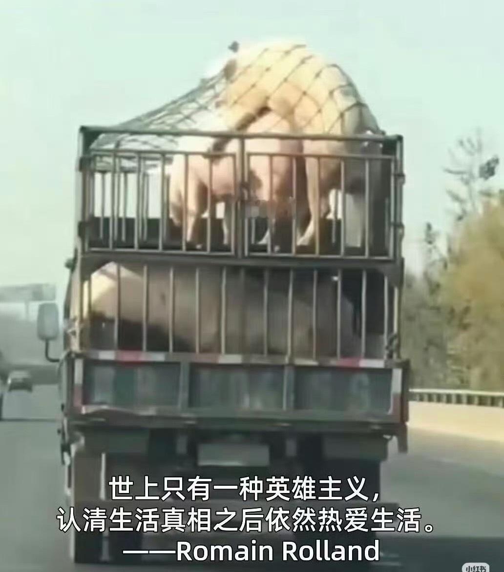 就这样热热烈烈的活着吧
