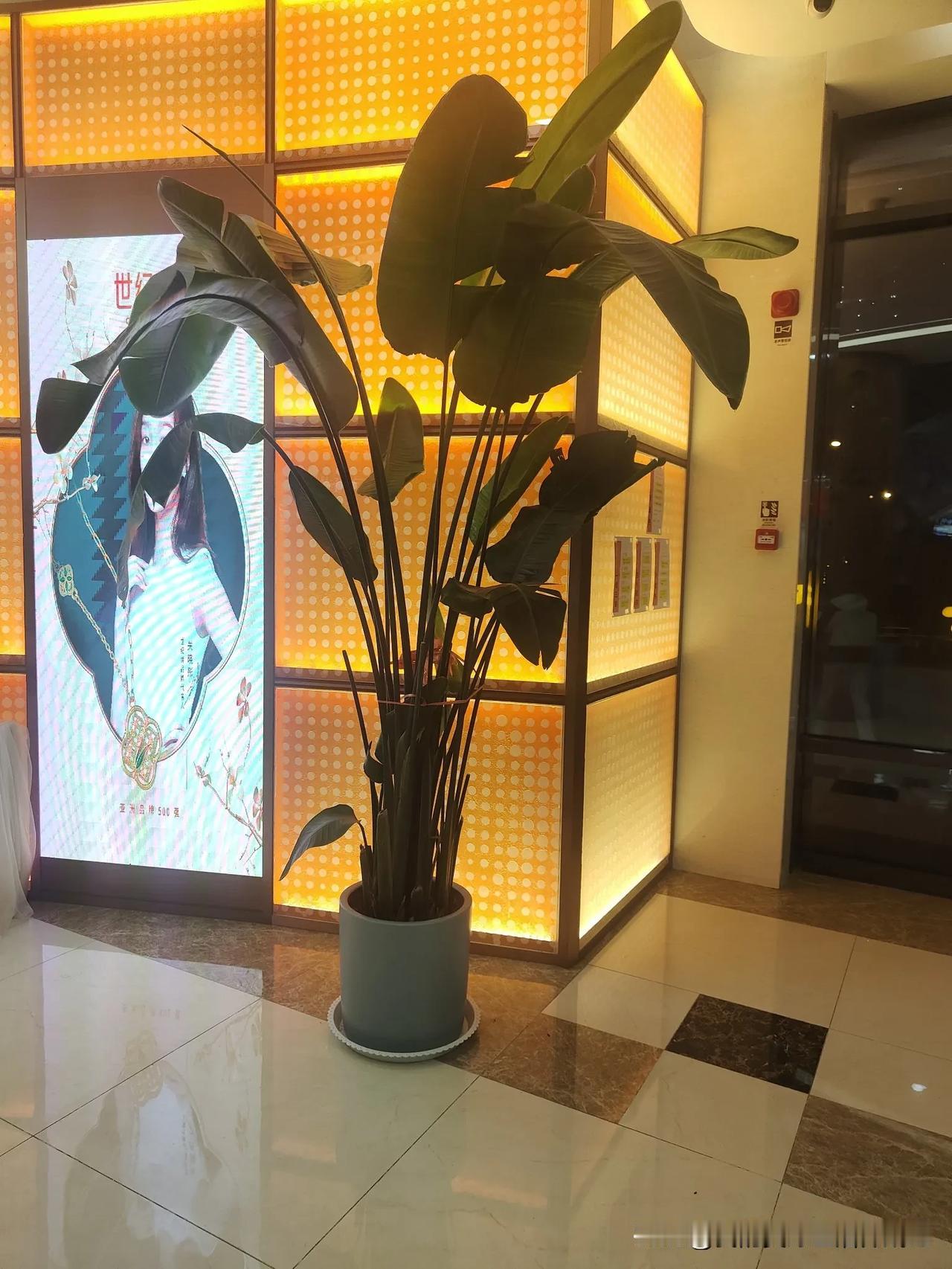 人到中年方明白，生而为人，无法抛开生存遑论爱情，理想。
当食不果腹身无分文孩子嗷