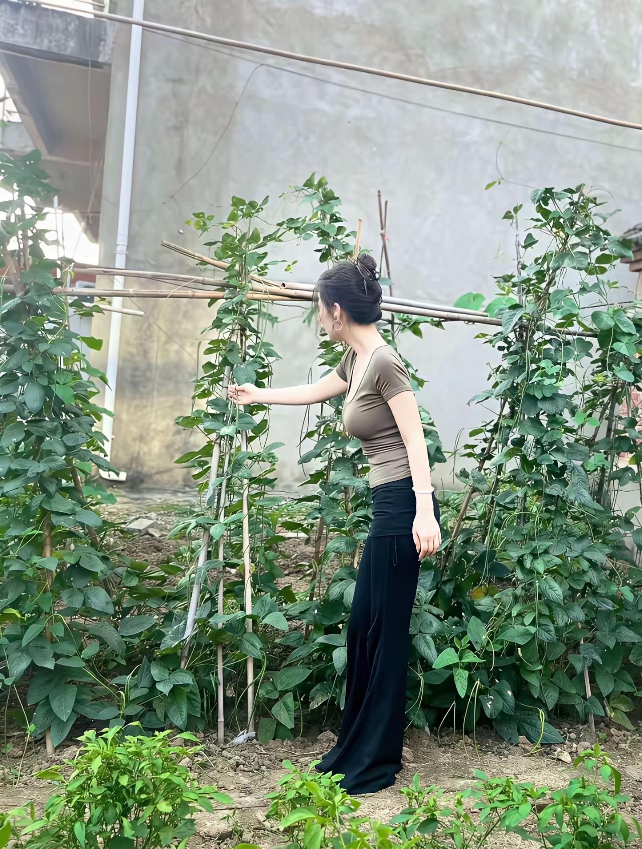 其实在农村老家，一个人全职在家也有干不完的活