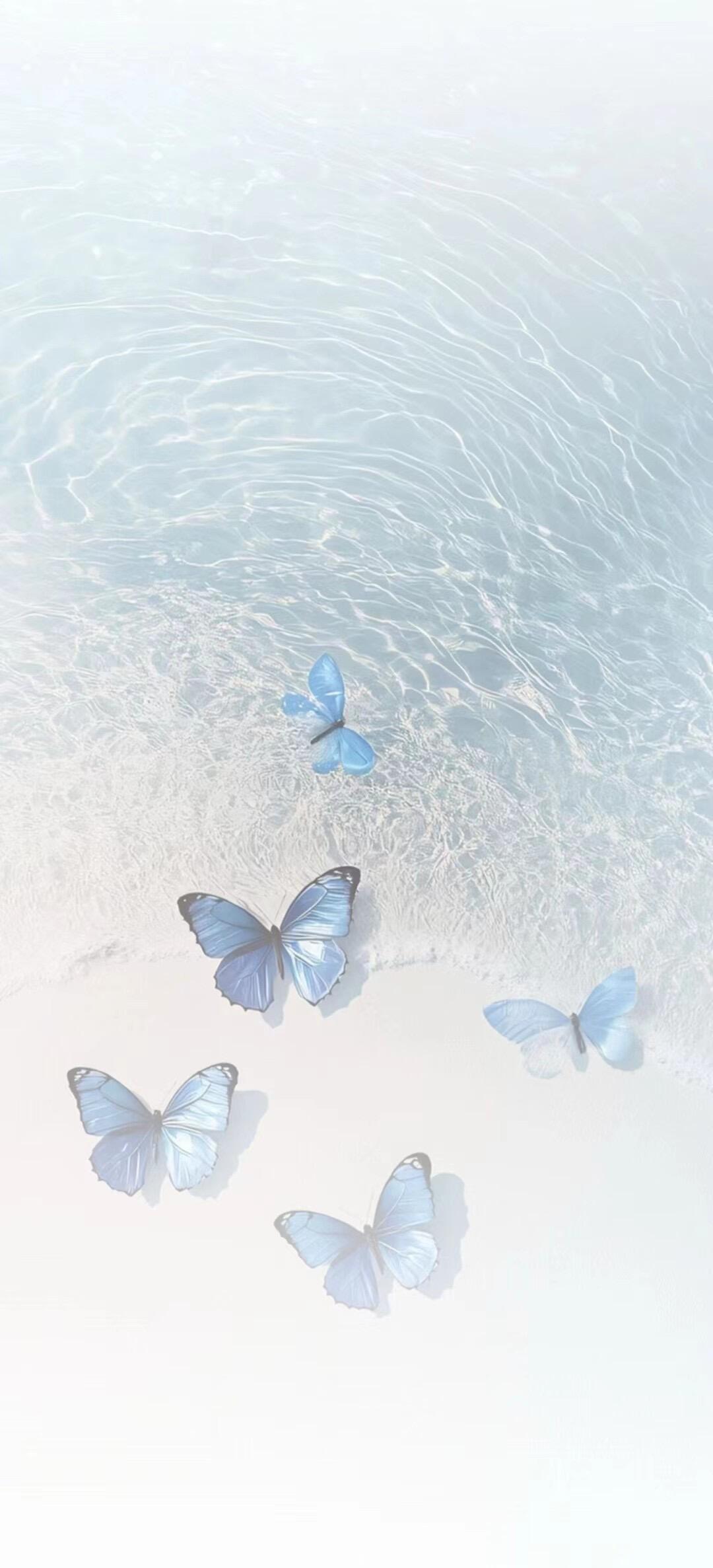 🦋｜💦壁纸壁纸[超话] ​​​