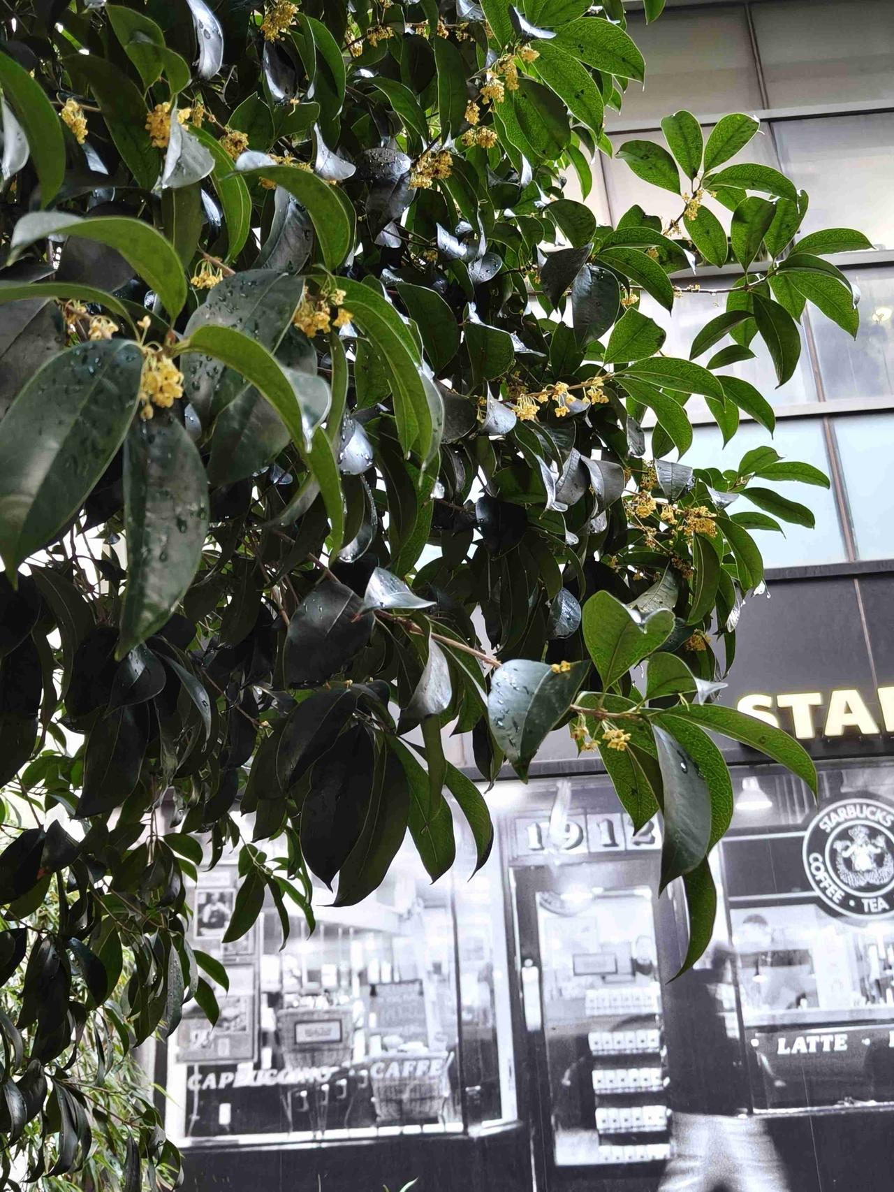 我的今日状态：😎自信酷炫
我这里的天气：🌤️多云