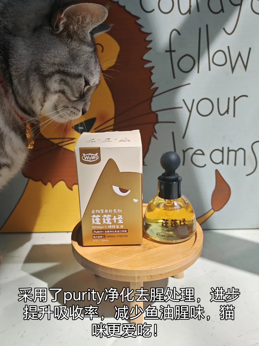 是什么宝藏让你的宠物毛发焕发光彩！✨