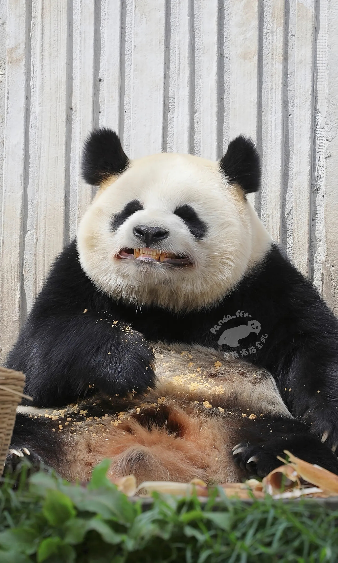对不起璨璨，但这张真的很好笑 