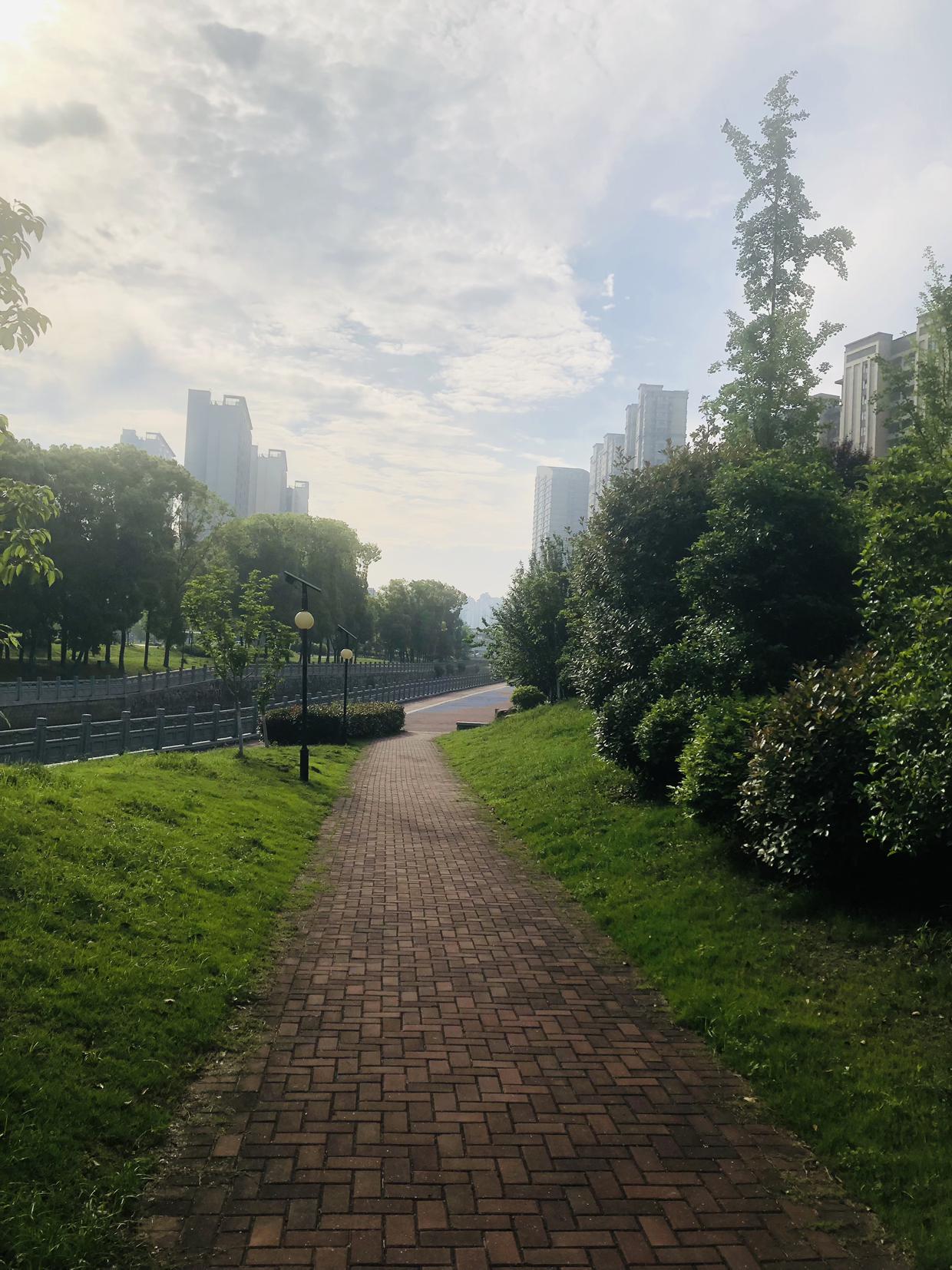 我的今日状态：😁轻松愉快
我这里的天气：☀️晴天
今早常州风还挺爽，3-4级的