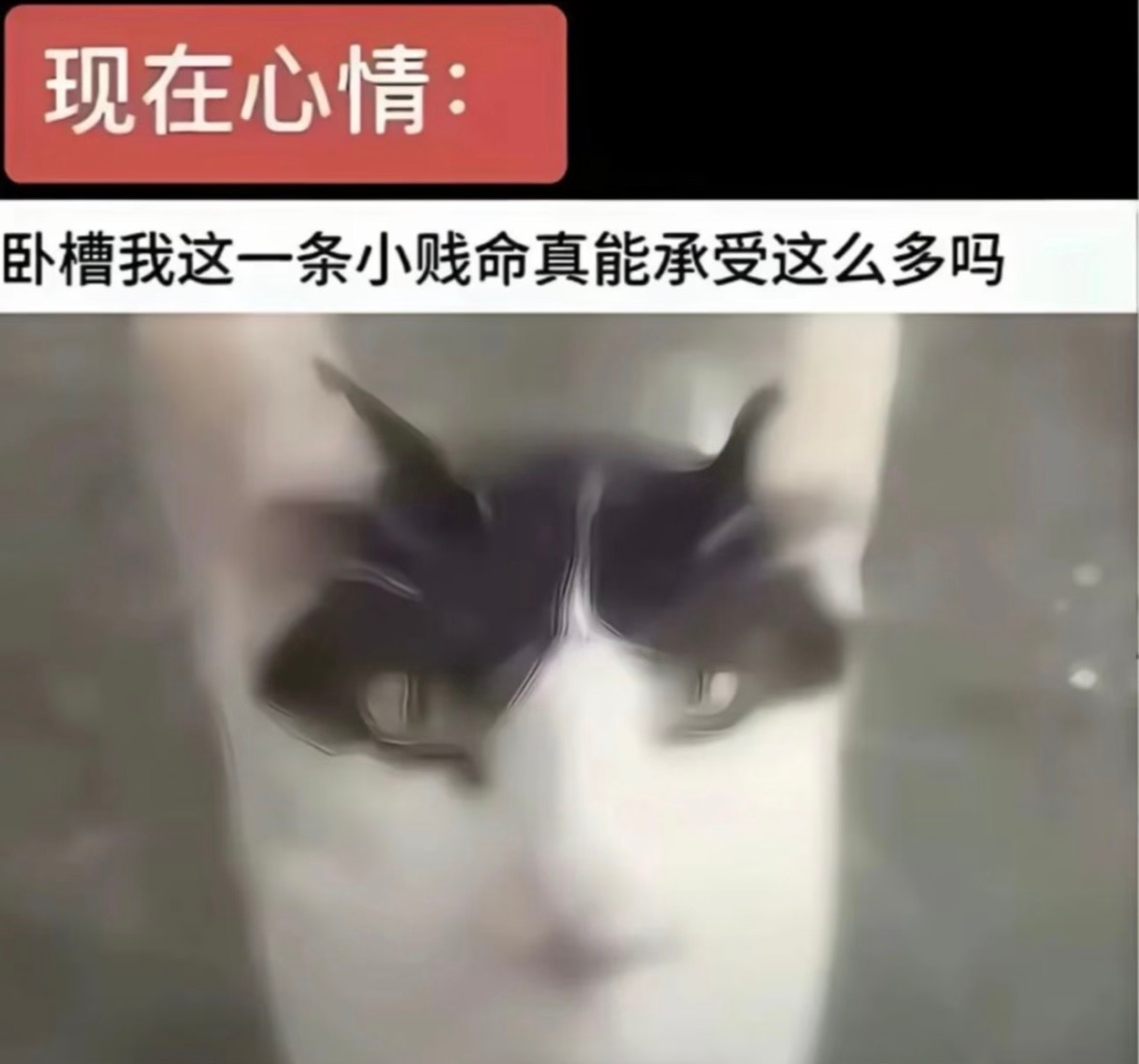 我这下真的破绷了 那么多事我都没破绷 我再也不要磕下海男了好吧 直男不准下海了。