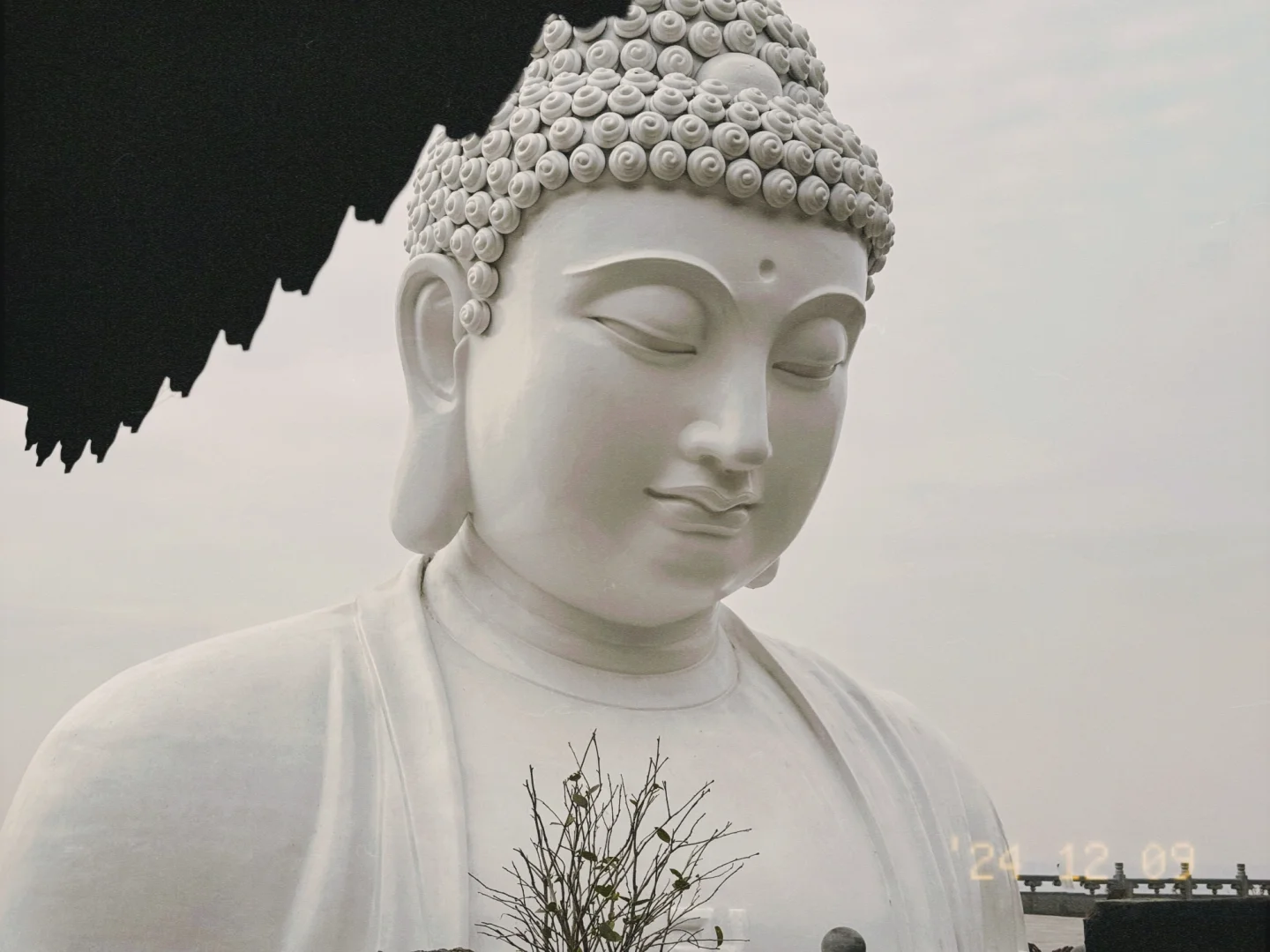 愿所求皆所得