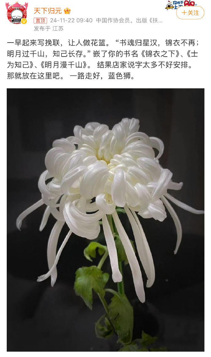 蓝色狮去世  锦衣之下原作者去世  天呐...不是真的吧 