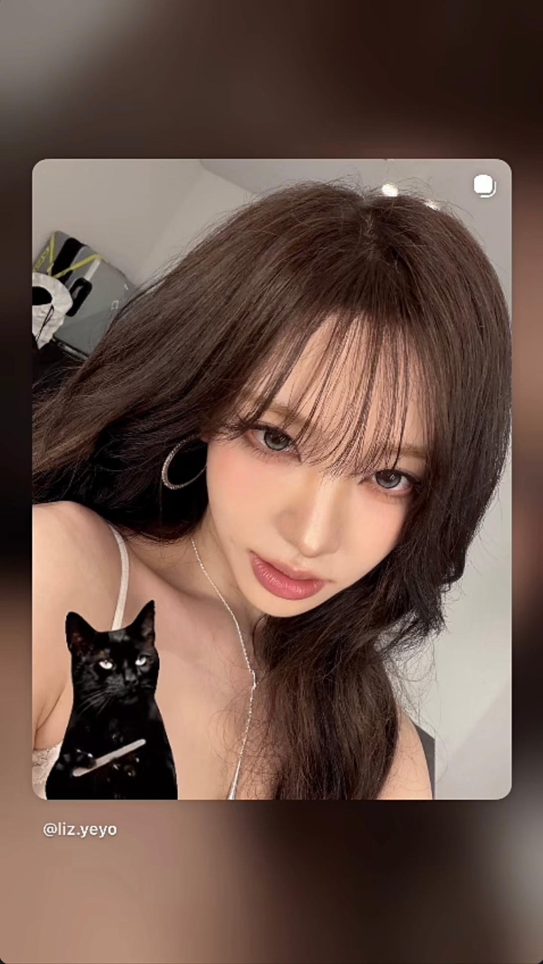 ive五团颜一 🌷ive五团一🐱liz260818【🐱ins更新】stor