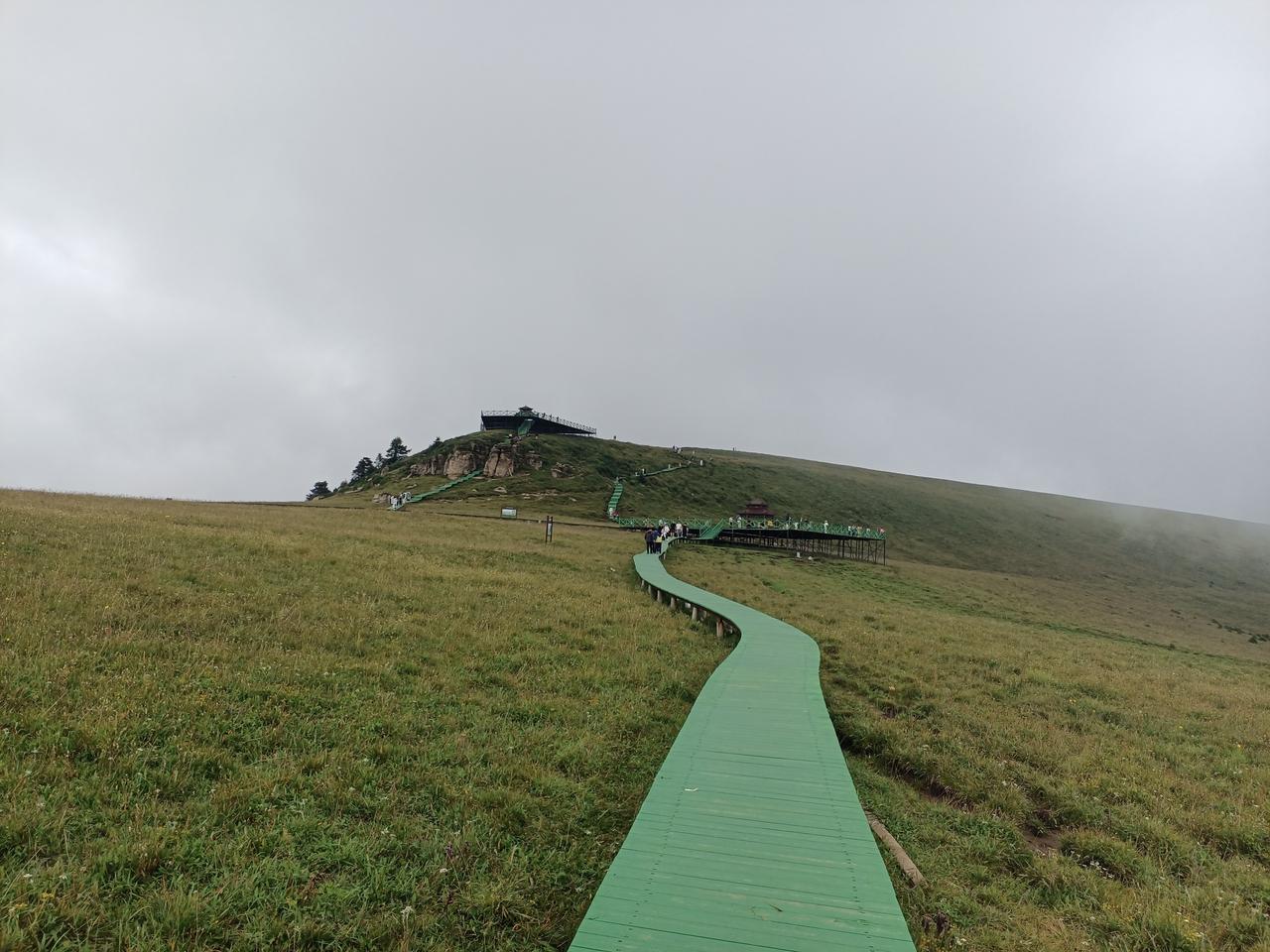 诚心给五寨文旅局提个建议，景点免费，停车收点费吧。
      荷叶坪景点免费，