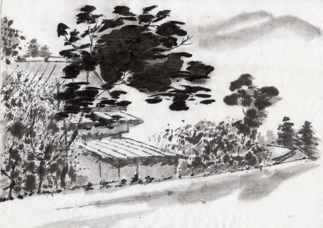 冬日生活打卡季冬天的阳光很短暂，匆匆光临大地，又急忙隐去，留下的是一片白茫茫，猫